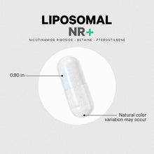 Clear capsule containing white powder with ingredient list and 0.90 inch size measurement indicated.