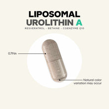 Tan and white capsule pill with "Liposomal Urolithin A" text and ingredient list above.