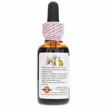 Maitake PET Fraction, 30 Ml, by Mushroom Wisdom, image #3