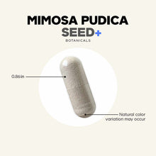 Beige capsule supplement labeled Mimosa Pudica Seed+ Botanicals, 0.86 inches in length.