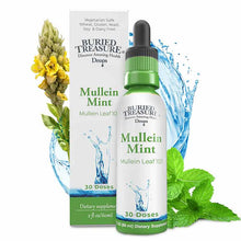 Mullein Mint, by Buried Treasure