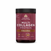 Multi Collagen Protein Powder, Chocolate, 10 Oz, by Ancient Nutrition