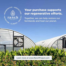 Multi Collagen Protein Powder, Cold Brew, 17.5 Oz, by Ancient Nutrition, image #9