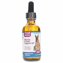 Muscle & Joint Support-M Drops, by PetAlive