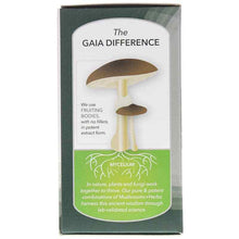 Mushrooms + Herbs Everyday Immune, by Gaia Herbs, image #4