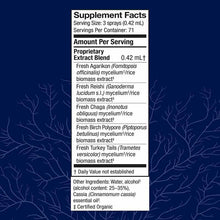 MycoShield Spray Immune Support, Cinnamon, by Host Defense, image #2