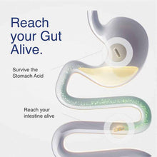 Mycrobiome Complete Probiotic Postnatal, 30 Capsules, by Solaray, image #4