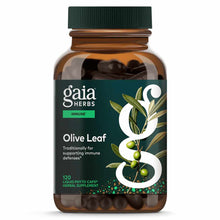 Olive Leaf, by Gaia Herbs
