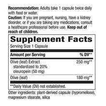 Olive Leaf Standardized, by Natures Way, image #2