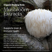 White mushroom with thin, hair-like spines on dark stone surface with moss.