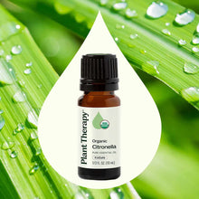 Plant Therapy organic citronella essential oil in amber glass bottle with black cap on water droplet background with green le