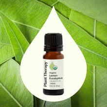Amber glass bottle with black cap labeled "Plant Therapy Organic Lemon Eucalyptus Pure Essential Oil KidSafe 1/3 FL OZ" again