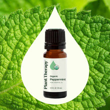 Organic Peppermint Essential Oil, .33 Oz, by Plant Therapy