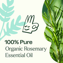 Organic Rosemary 1,8-Cineole Essential Oil, by Plant Therapy