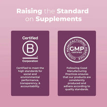 Two purple certification badges on pink background: Certified B Corporation and GMP Certified manufacturing logos with descri