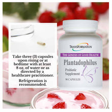 Plantadophilus Probiotic, by Transformation Enzyme, image #3