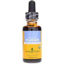 Plantain Extract, 1 Oz, by Herb Pharm