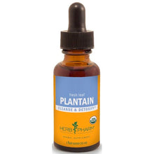 Plantain Extract, by Herb Pharm