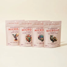 Four kraft pouches containing functional mushroom gummies in Motivate, Elevate, Concentrate, and Hibernate varieties.