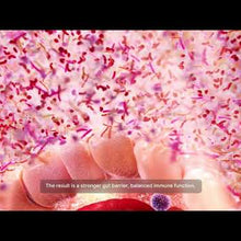 MegaSporeBiotic, by Microbiome Labs