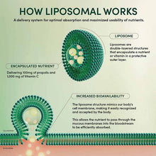 Propolis Stress Support Liposomal, 10 Packets, by Beekeeper's Naturals, image #5