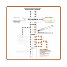 Proteo-Zinc, 60 Capsules, by Utzy Naturals, image #4