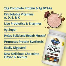 Raw Organic Protein, Chocolate, 24.69 Oz, by Garden of Life, image #4