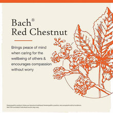 Red Chestnut Flower Essence, by Bach Flower Remedies, image #3