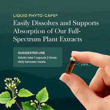 Hand holding small amber liquid phyto-capsule with green plant material visible at bottom left on teal background.
