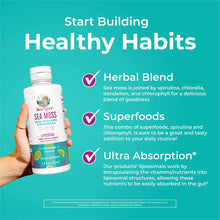 Hand holding white bottle of MaryRuth's Sea Moss with Spirulina and Chlorella liquid supplement in Limnade flavor, 11.8 fl oz