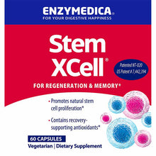 Stem Xcell, 60 Capsules, by Enzymedica, image #2