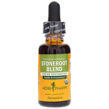 Stoneroot Blend Extract, 1 Oz, by Herb Pharm