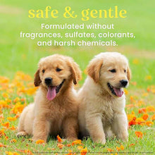 Tearless 2 in 1 Shampoo & Conditioner for Puppies, 16 Oz, by Burt's Bees Pets, image #5