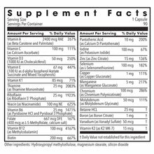 Supplement Facts label for The Big One Plus showing serving size of 1 capsule per container of 90, listing vitamins and miner