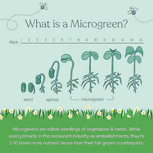 True Littles MicroVeggies Organic, 30 Servings, by True Grace, image #5