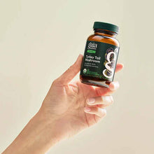 Turkey Tail Mushroom Immune & Liver Support, 40 Vegan Capsules, by Gaia Herbs, image #3