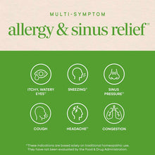 Product packaging for Umcka Allergy & Sinus Relief showing six symptom icons on green background with beige header text.