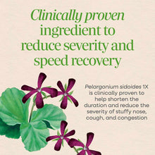 Purple flowers with green leaves and text describing clinically proven ingredient for allergy and sinus relief.