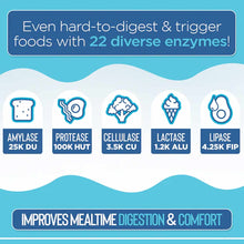 Infographic showing five digestive enzymes with icons: amylase, protease, cellulase, lactase, and lipase, with text describin
