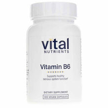 Vitamin B6 100 Mg, by Vital Nutrients