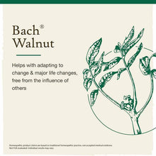 Walnut Flower Essence, by Bach Flower Remedies, image #2