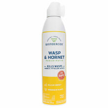 Wasp & Hornet Spray for Porch + Patio, by Wondercide