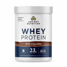 Whey Protein, Chocolate, 20 Servings, by Ancient Nutrition