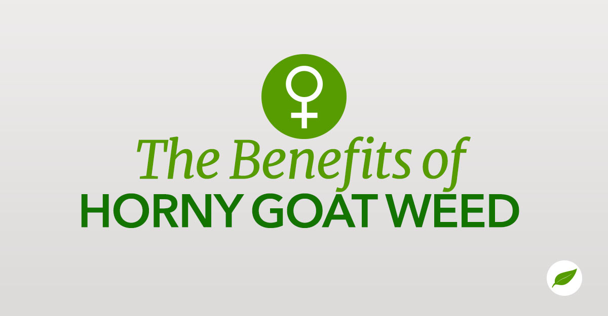 Horny-Goat-Weed-Benefits