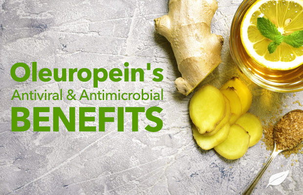 Natural Cold and Flu Relief from the Olive Tree?