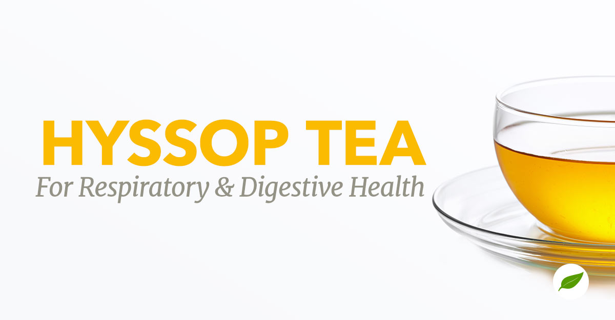 hyssop tea