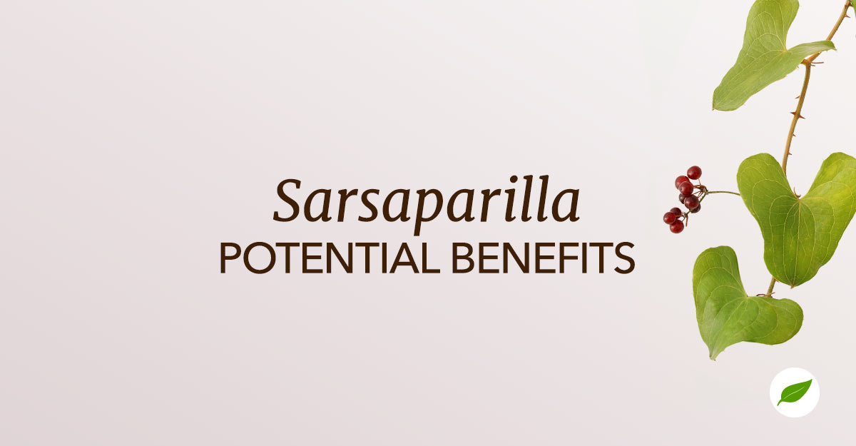 Sarsaparilla-Benefits