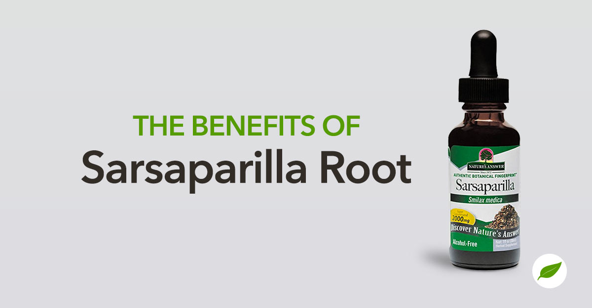 Sarsaparilla-Root-Benefits