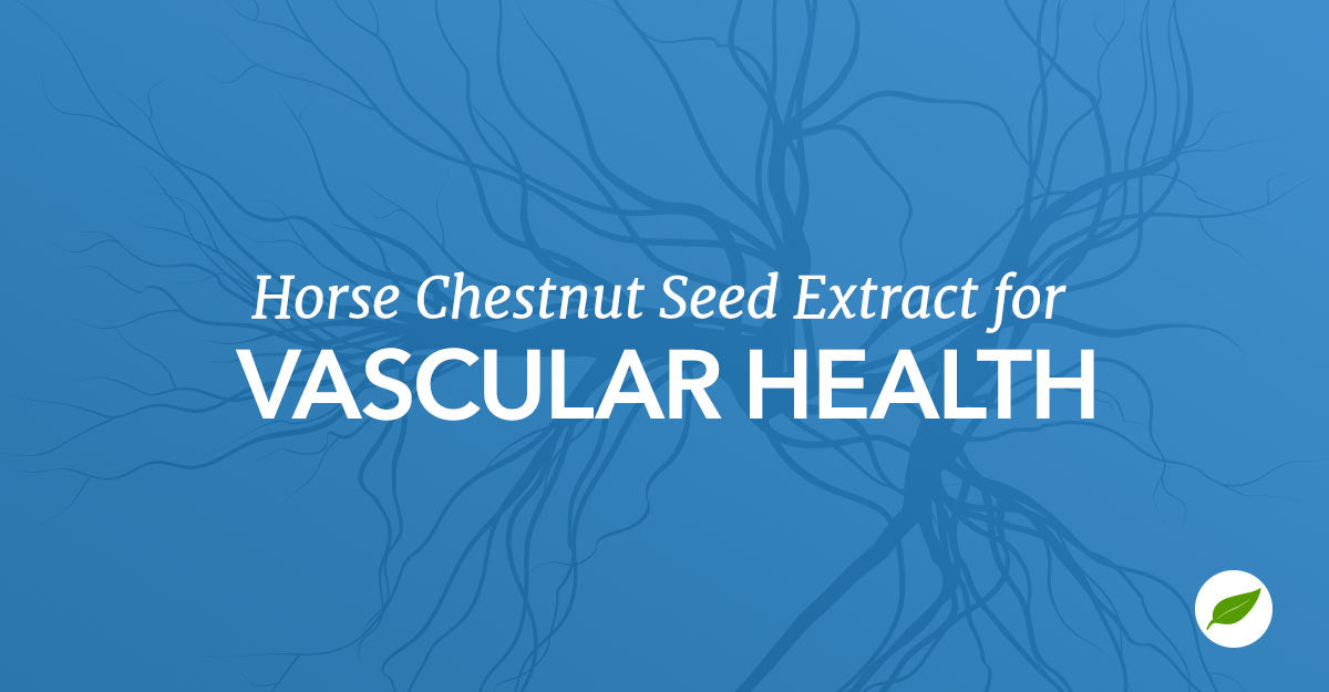horse chestnut seed extract