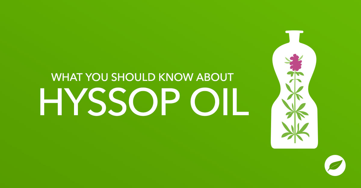 hyssop oil